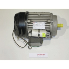 Motor PSP 100 a 300 220V