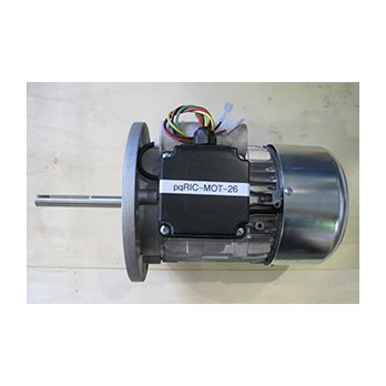 MOTOR PSP 500 8l 220V